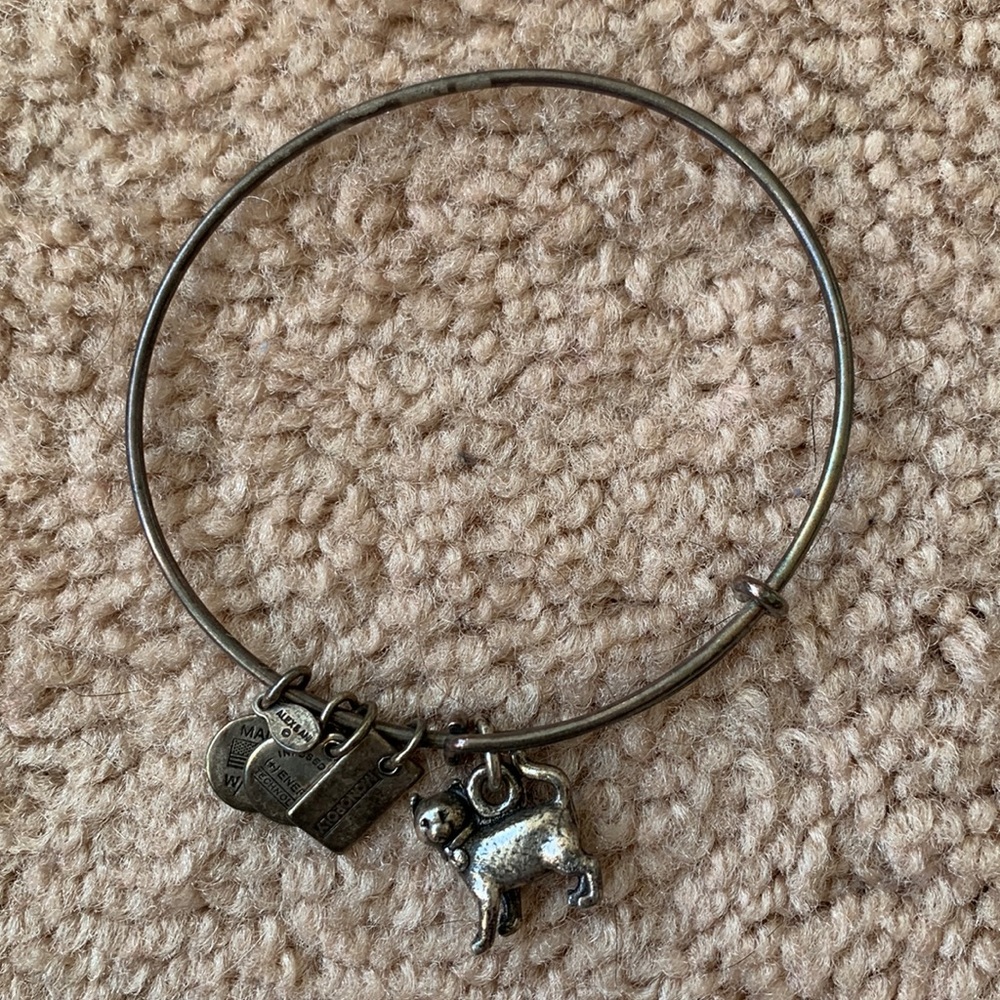Cat Alex and Ani